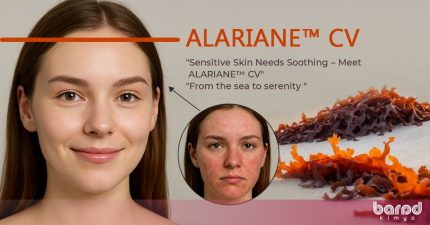 ALARIANE CV