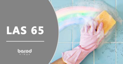 LAS 65