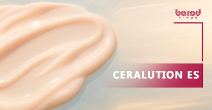 CERALUTION® ES