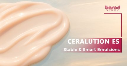 CERALUTION® ES