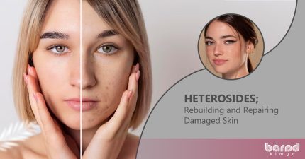  HETEROSIDES