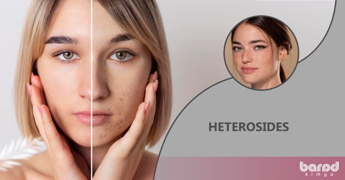 HETEROSIDES