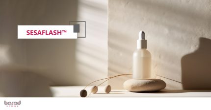 ™SESAFLASH