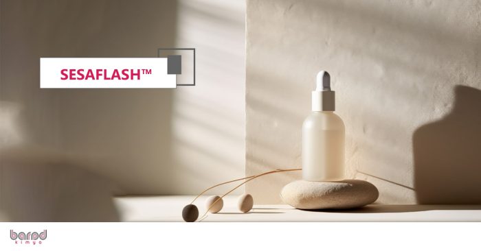 ™SESAFLASH