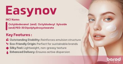EASYNOV