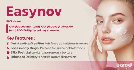 EASYNOV