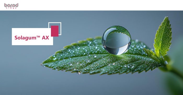 SOLAGUM™ AX