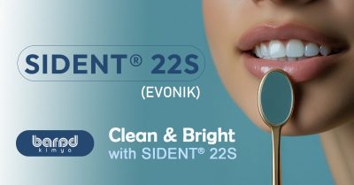 SIDENT® 22S