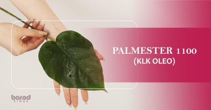 PALMESTER 1100
