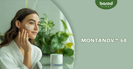 montanov 68