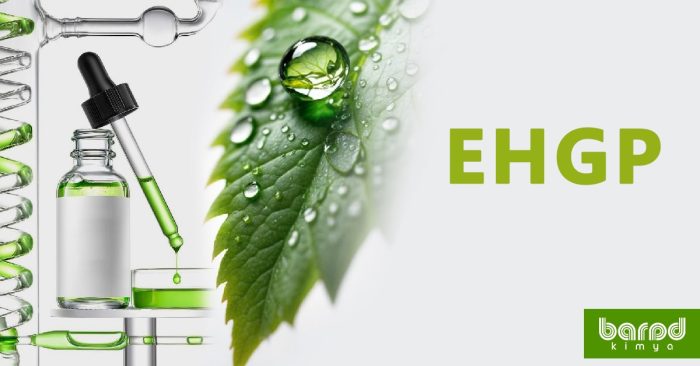 EHGP