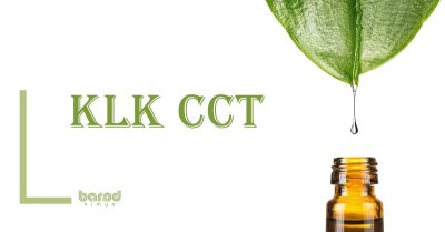 KLK CCT