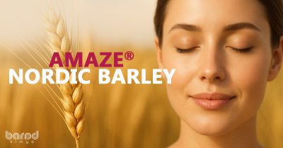 Amaze® Nordic Barley