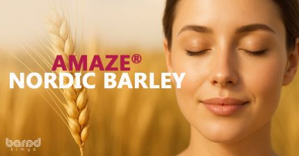 Amaze® Nordic Barley