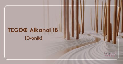 TEGO® Alkanol 18