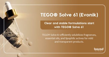 TEGO® Solve 61