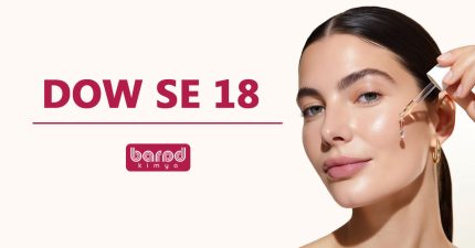 DOW™ SE 18