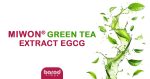 MIWON® GREEN TEA EXTRACT EGCG