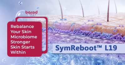 SymReboot™ L19