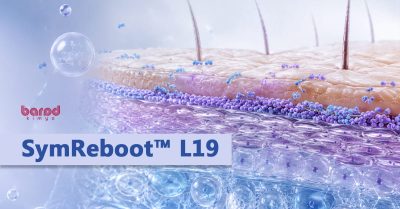 SymReboot™ L19